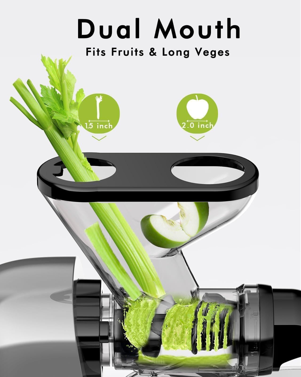 sifene cold press juicer machine, dual feed chute slow masticating juicer, vegetable and fruit juice maker squeezer machines,