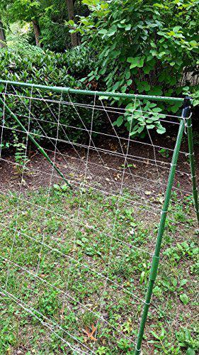 dalen trellis netting kit for vertical gardening - heavy duty material - tangle free nylon - 6