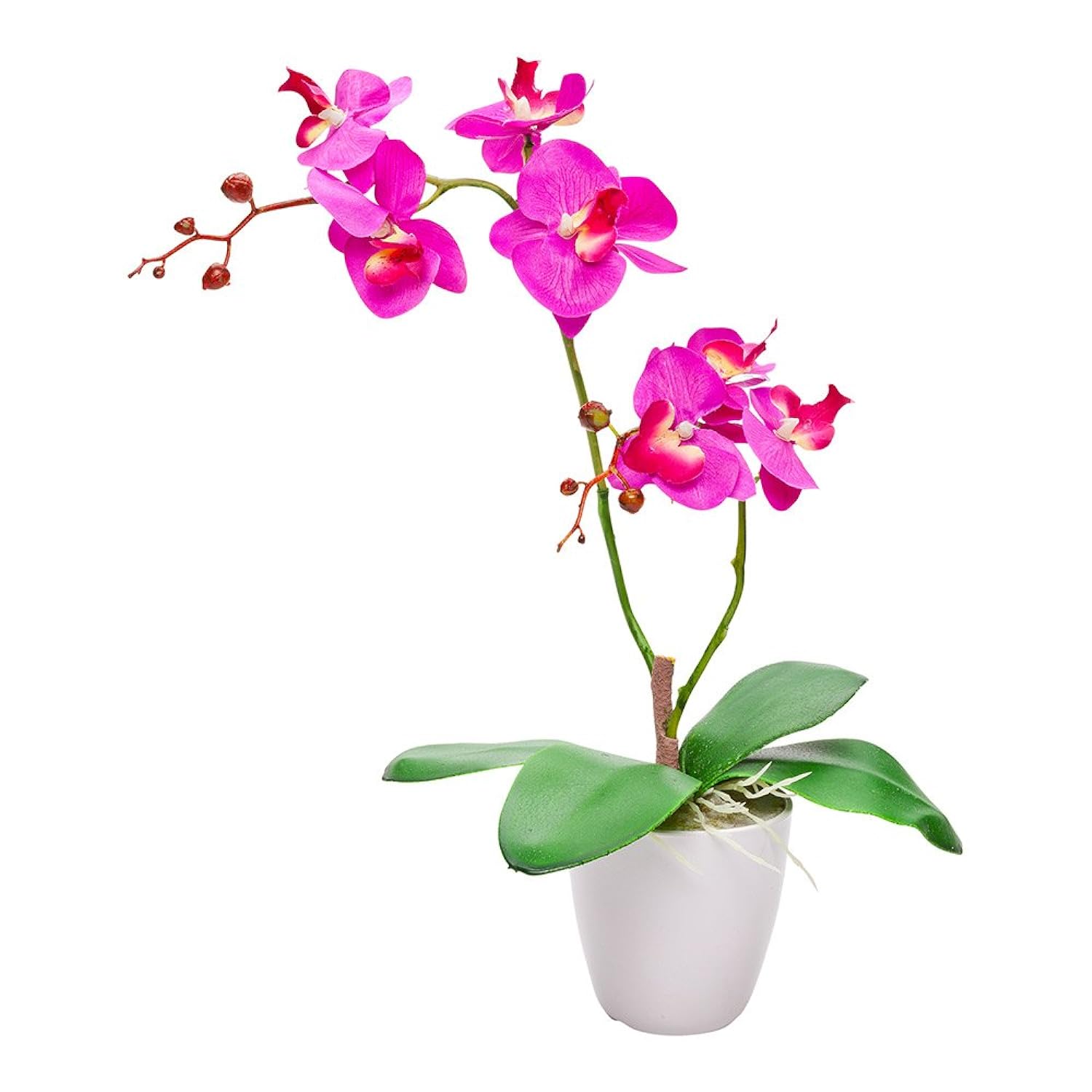 GCP Products Fiore 4 X 15 Inch Artificial Moth Orchids 12 Potted Fake Orchids - 8 Blooms Use As Centerpieces Home Decor, Office, Magenta P…