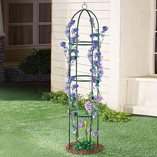collections etc 6ft garden plant trellis, green