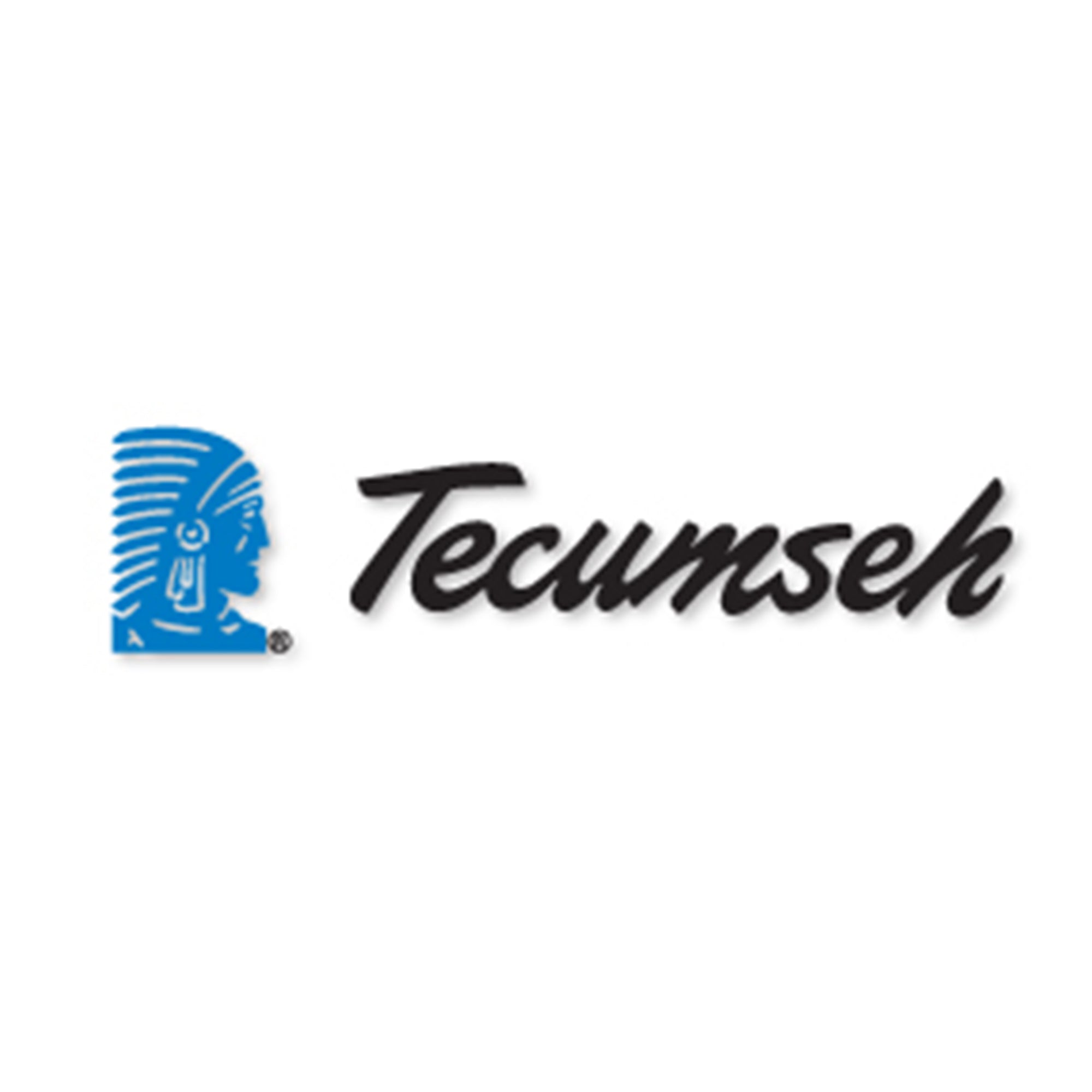Tecumseh 640221 Lawn &a; Garden Equipment Engine Carburetor (replaces TC-640221) Genuine Original Equipment Manufacturer (OEM) Par