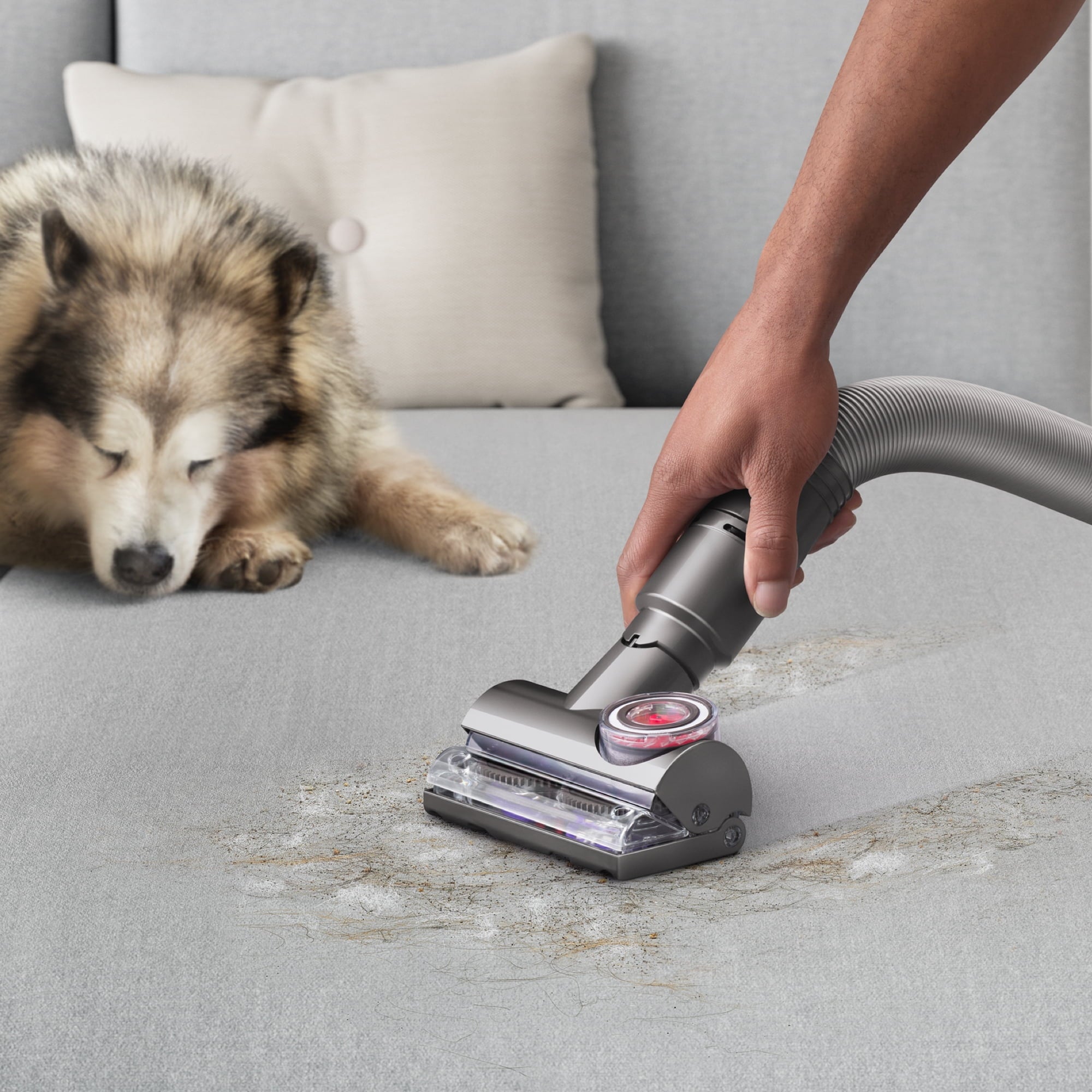 Dyson Ball Animal 3 Extra Upright Vacuum | Copper | New
