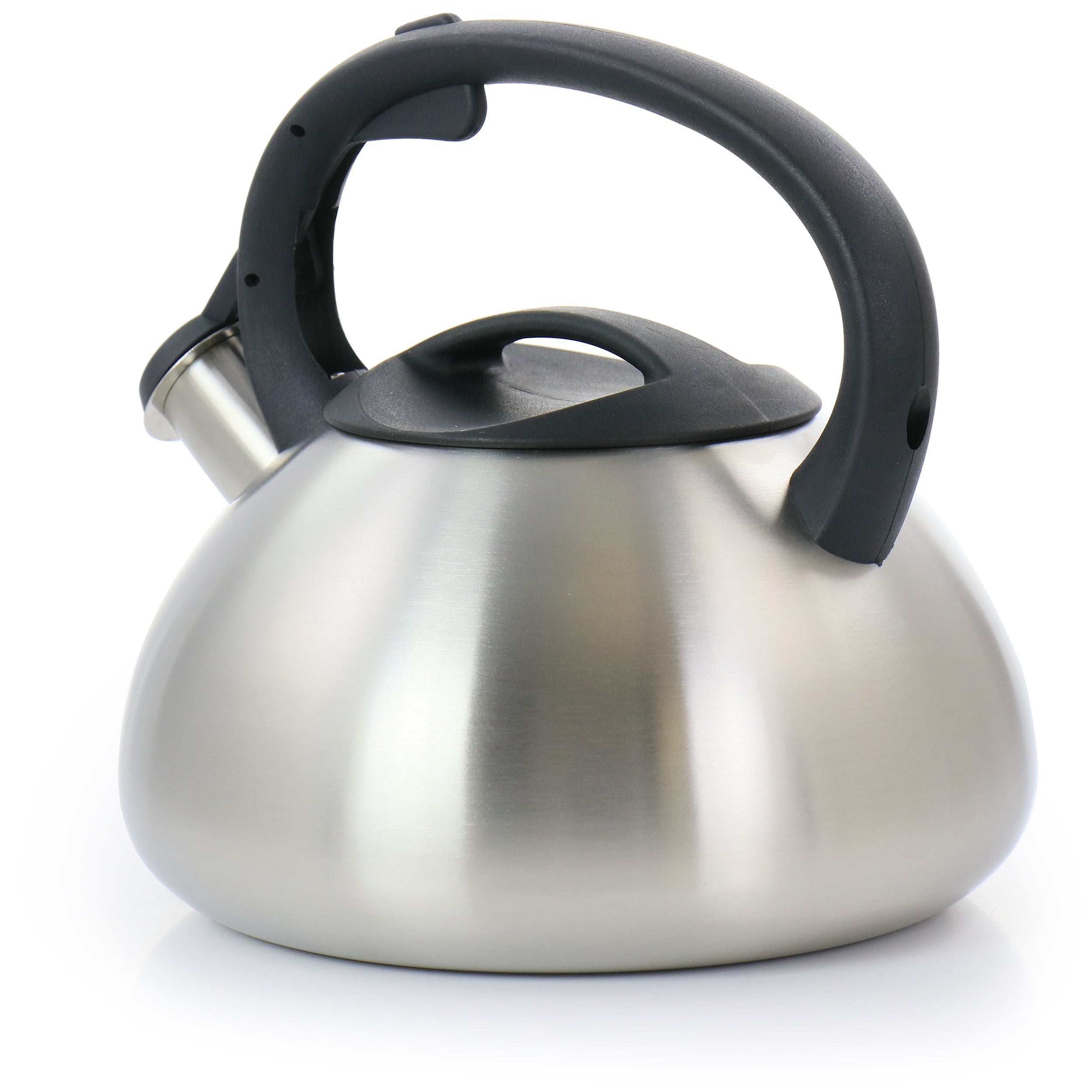 Mr. Coffee Harpwell 1.8 Quart Stainless Steel Whistling Tea Kettle