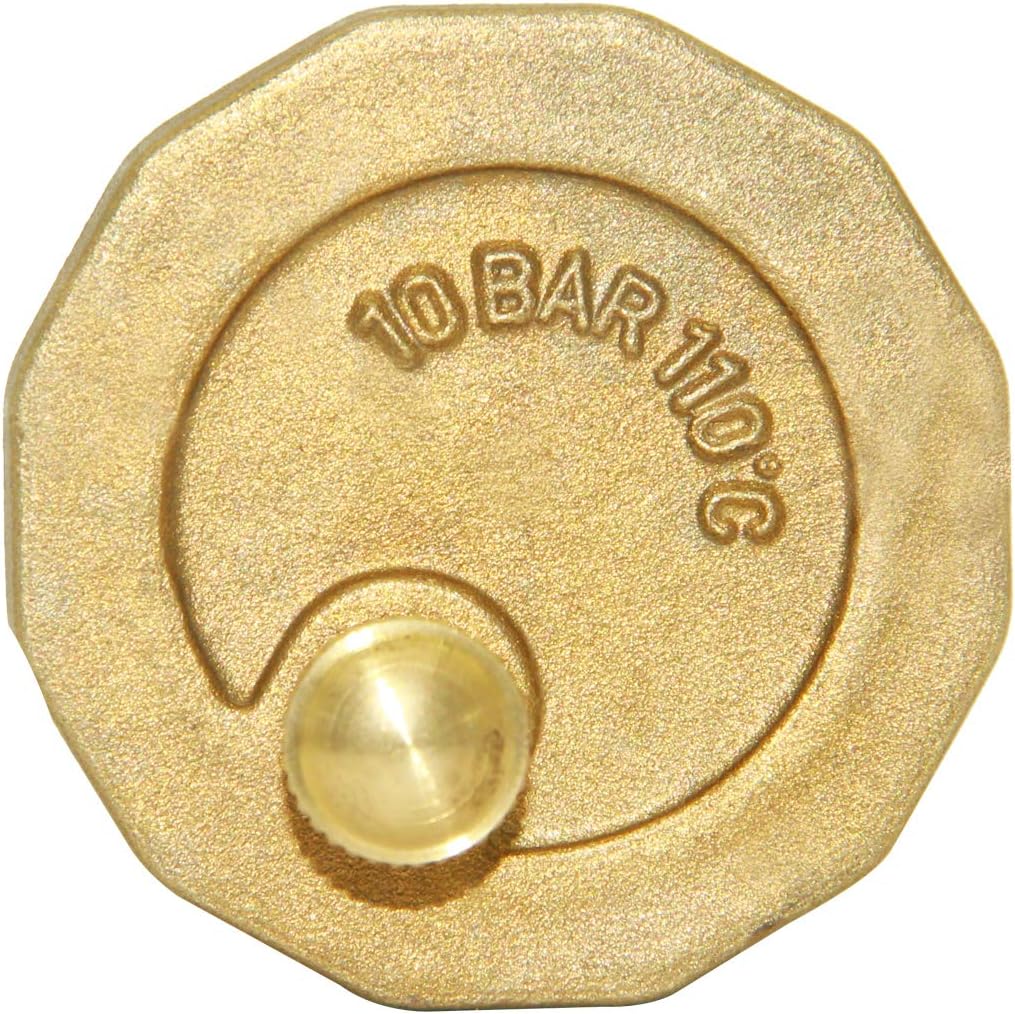 Beduan Brass 10500-VE Automatic Float Valve, 3/4