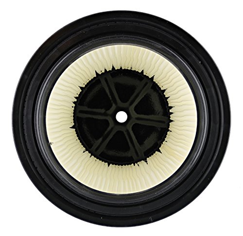 Ridgid AX-AY-ABHI-40678  VF4000 Washable Wet/Dry Vacuum Garage Shop Vac Pleated Filter Replacement