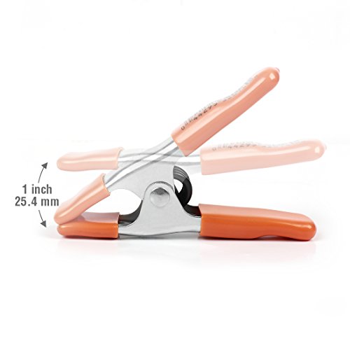 PONY Heavy Duty Metal Spring Clamps Set 2-inch, 1-inch Jaw Open, with Protective Handles and Tips, 10-piece