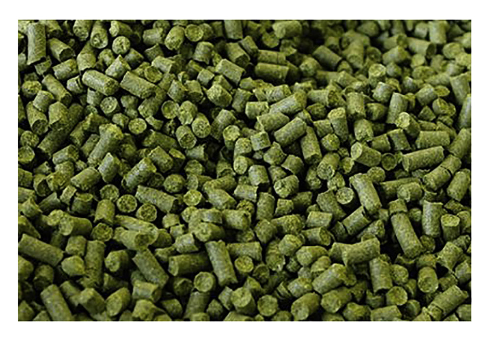 Learn To Brew LLC Amarillo® Hop Pellets for Home Brewing 1 lb (1 Pound)