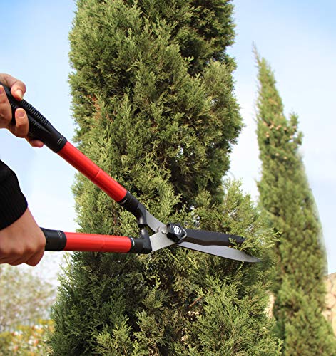 TABOR TOOLS B212A Telescopic Hedge Shears with Wavy Blade and Extendable Steel Handles. Extendable Manual Hedge Clippers for Tri