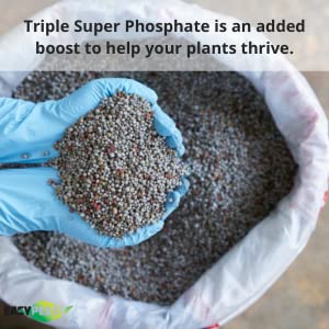 Easy Peasy TRIPLE SUPER PHOSPHATE FERTILIZER 0-46-0 | phosphorus fertilizer for gardens, lawns, indoor and outdoor plants | ROCK PHOSPHATE