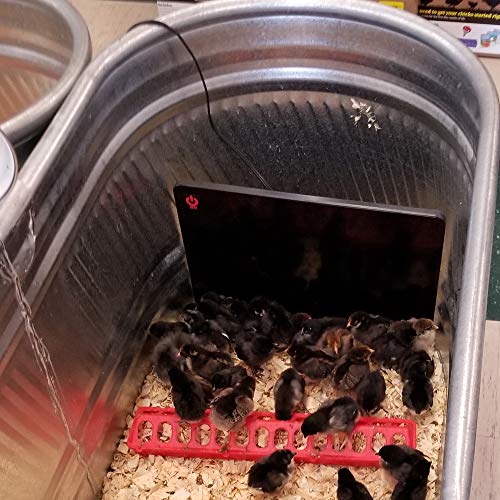 Cozy Products CL Safe Chicken Coop Heater - 200 Watts, Low Heat Output, Safer Than Brooder Lamps, for Poultry Farm Use, Pet Supp