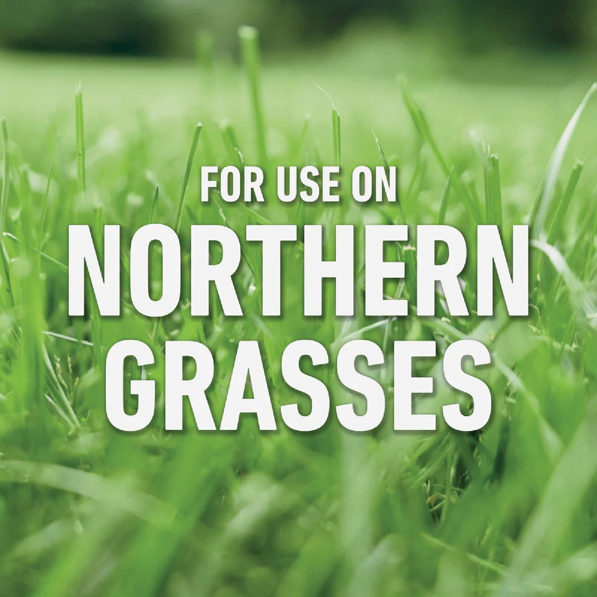 For Lawns Roundup 5020110 Roundup For Lawns 1.25 Gal. Refill Northern Formula Weed Killer 5020110