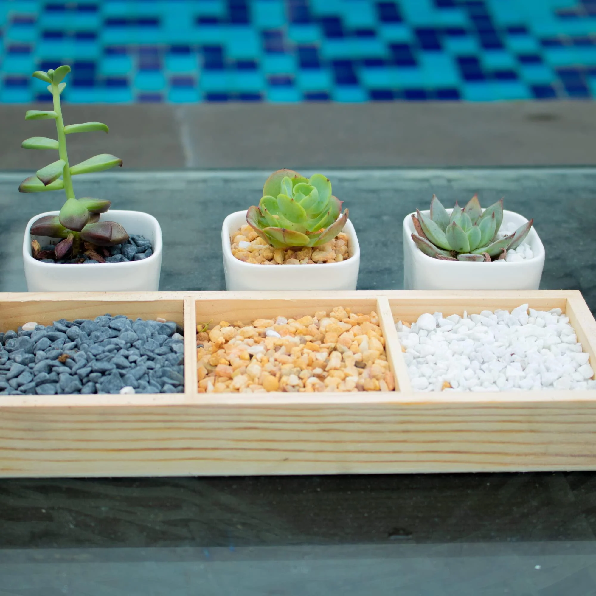 anothera 7lb succulent and cactus bonsai diy rocks, white onyx, gravel for terrarium, fairy gardening, top dressing,?6mm-8mm?