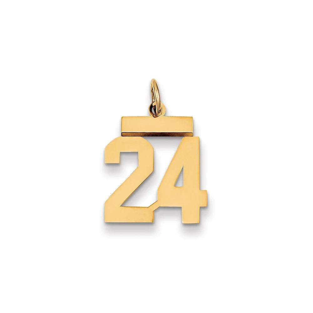 Jewelryweb 14k Small Polished Number 24 Charm