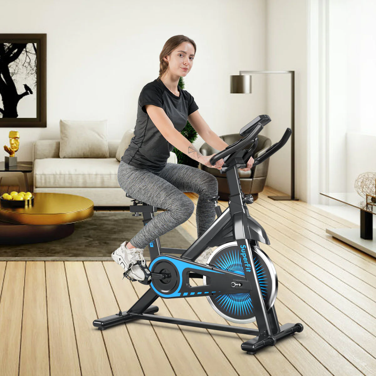 Costway SuperFit Indoor Cycling Stationary Bike Belt Drive Adjustable Resistance