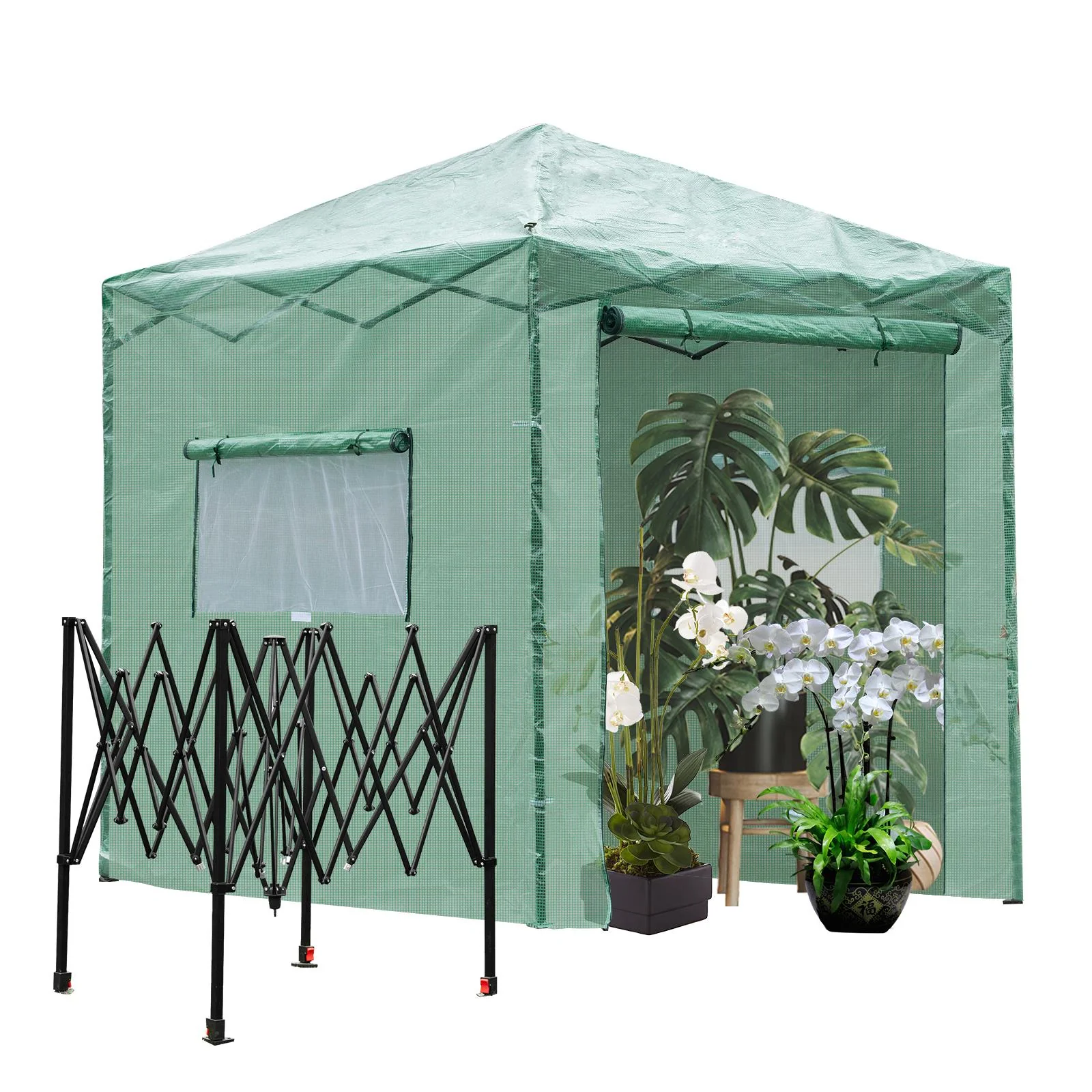Winado Portable Greenhouse Instant Pop Up Fast Setup Indoor Outdoor Plant Gardening Green  8&s; x 6&s;