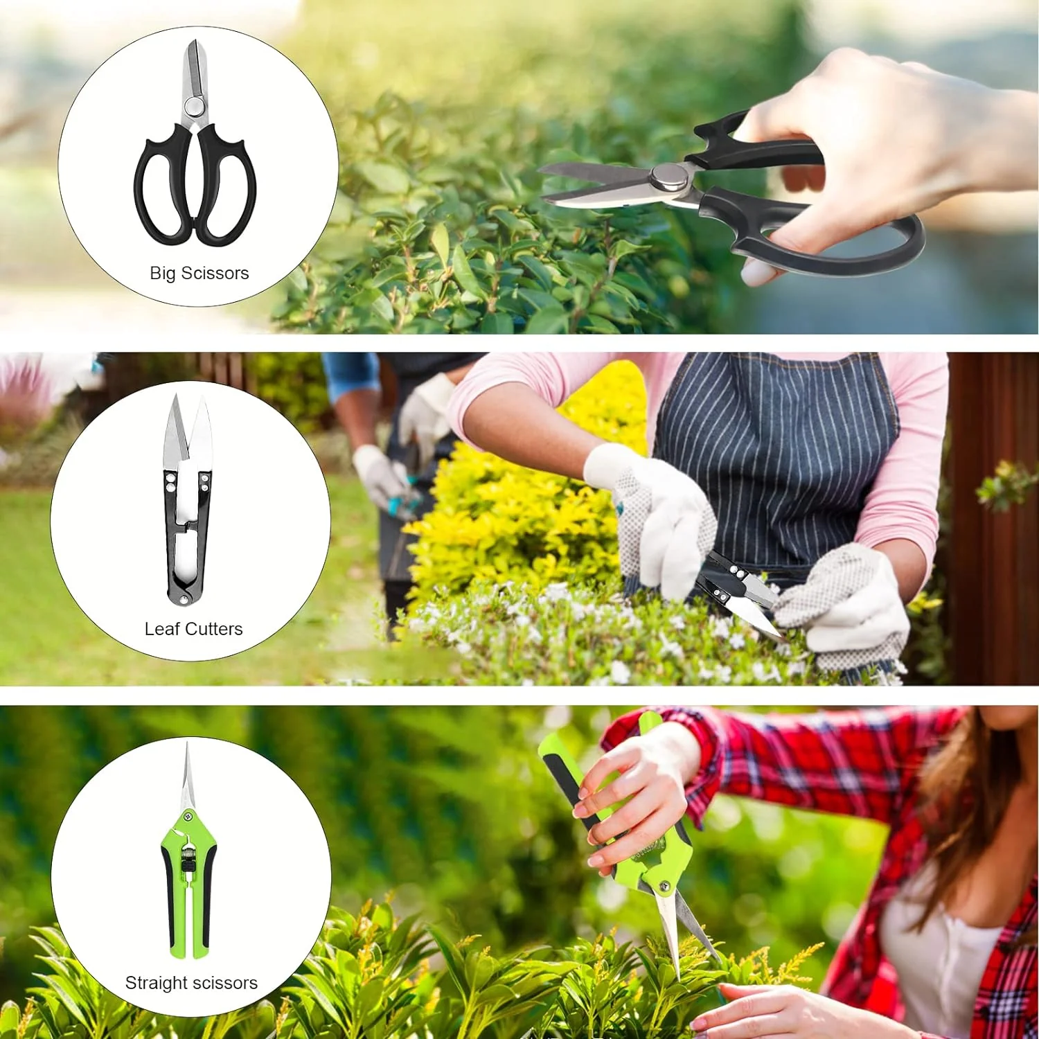 Taschyas Bonsai Tree Kit, 20 Pcs Gardening Succulent Tools Set, Bonsai Tool Kit Include 262 Feet Bonsai Wire, 29.5