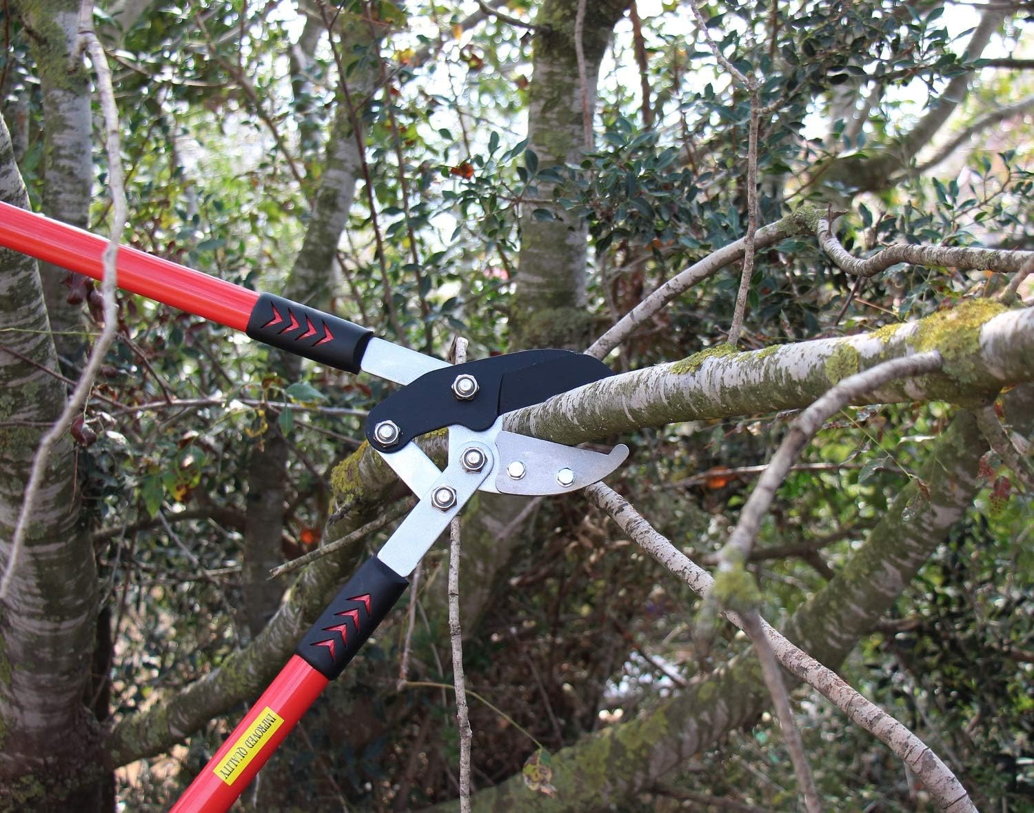 Tabor Tools GG12A Anvil Lopper with Compound Action, Chops Thick Branches with Ease, 30 Inch Tree Trimmer, Branch Cutter with 2 Inch Clean