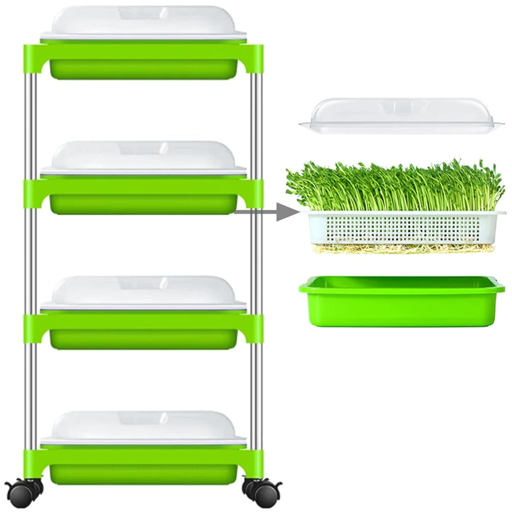 LeJoy Garden 4 Layers Sprouter Trays with Cover &a; Stainless Steel Frame Soil-Free Healthy Wheatgrass Seeds Grower &a; Storage Trays for Garden