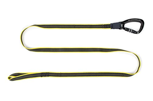 3M Personal Protective Equipment 3M DBI-SALA Fall Protection For Tools,1500060,Clip2Loop Coil Tether For Small Objects, Swivel Snap For Any D-Ring Attachment,