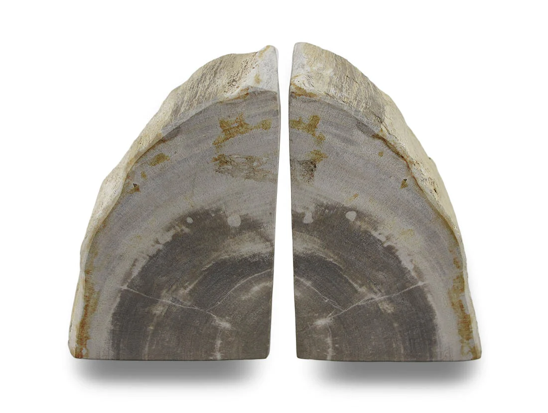Zeckos Indonesian Palmwood Light Color Petrified Wood Bookends 6-8 Pounds