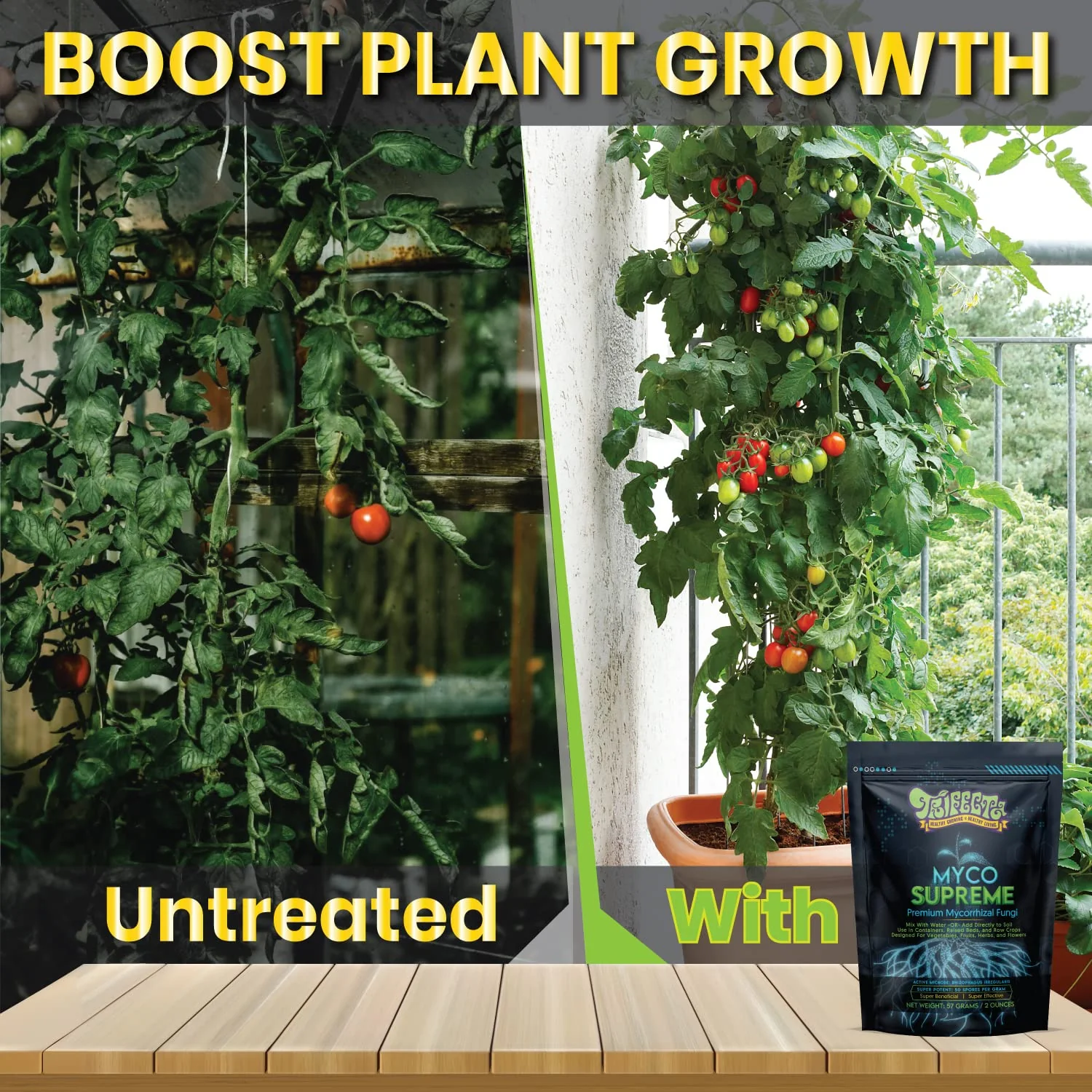Trifecta Mycorrhizal Fungi Root Enhancer for Plants - Bigger, Stronger, Healthier Roots, Use In Soil and Hydroponics - Super 20X Concentr