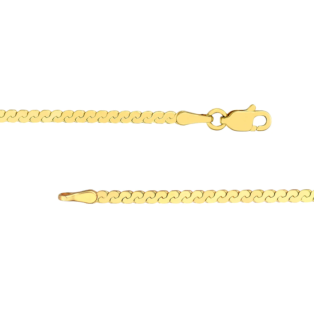 Jewelryweb 14k Yellow Gold 2mm Serpentine Chain Ankle Bracelet Lobster Lock Closure Anklet - 10 Inch