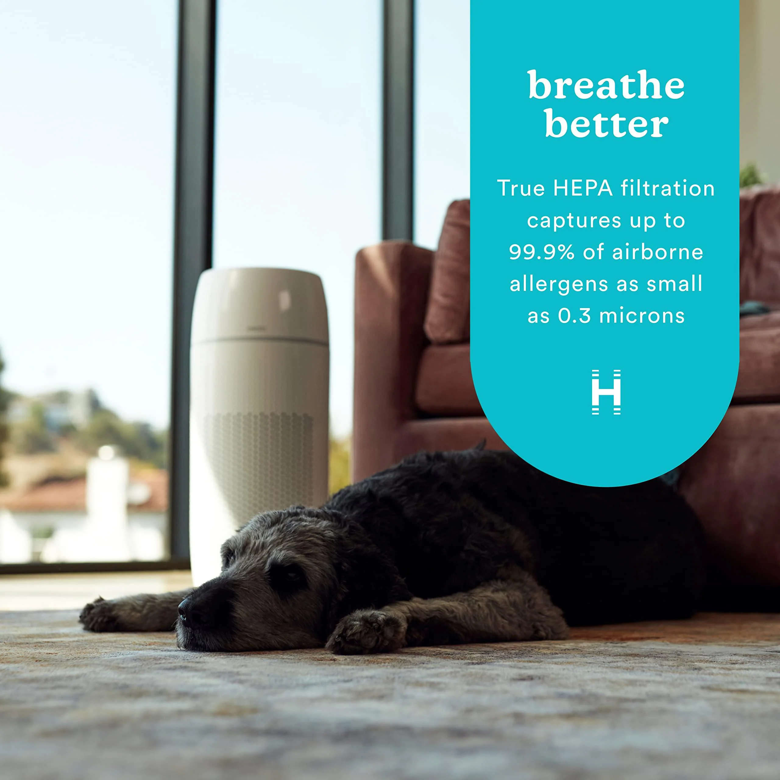 homedics 5-in-1 petplus uv-c air purifier - 360-degree hepa filter for 266 sq ft, air purifiers for pets, bedroom, and home w