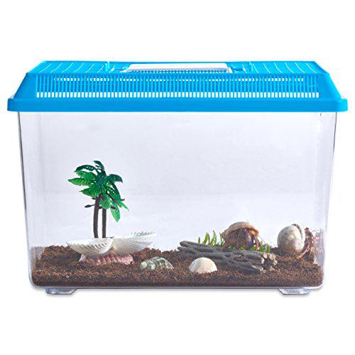 nature gift store live pet hermit crab kit: 2 live crabs free mail-in certificate
