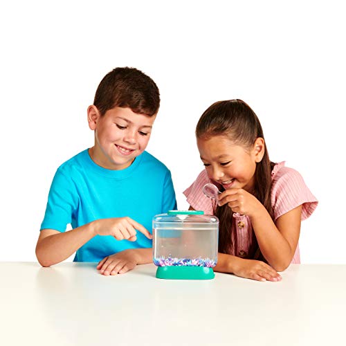 Little Live Pets Little Live Aqua Dragons - Deep Sea Habitat - LED Light Up Tank Hatch and Grow Aquatic Pets