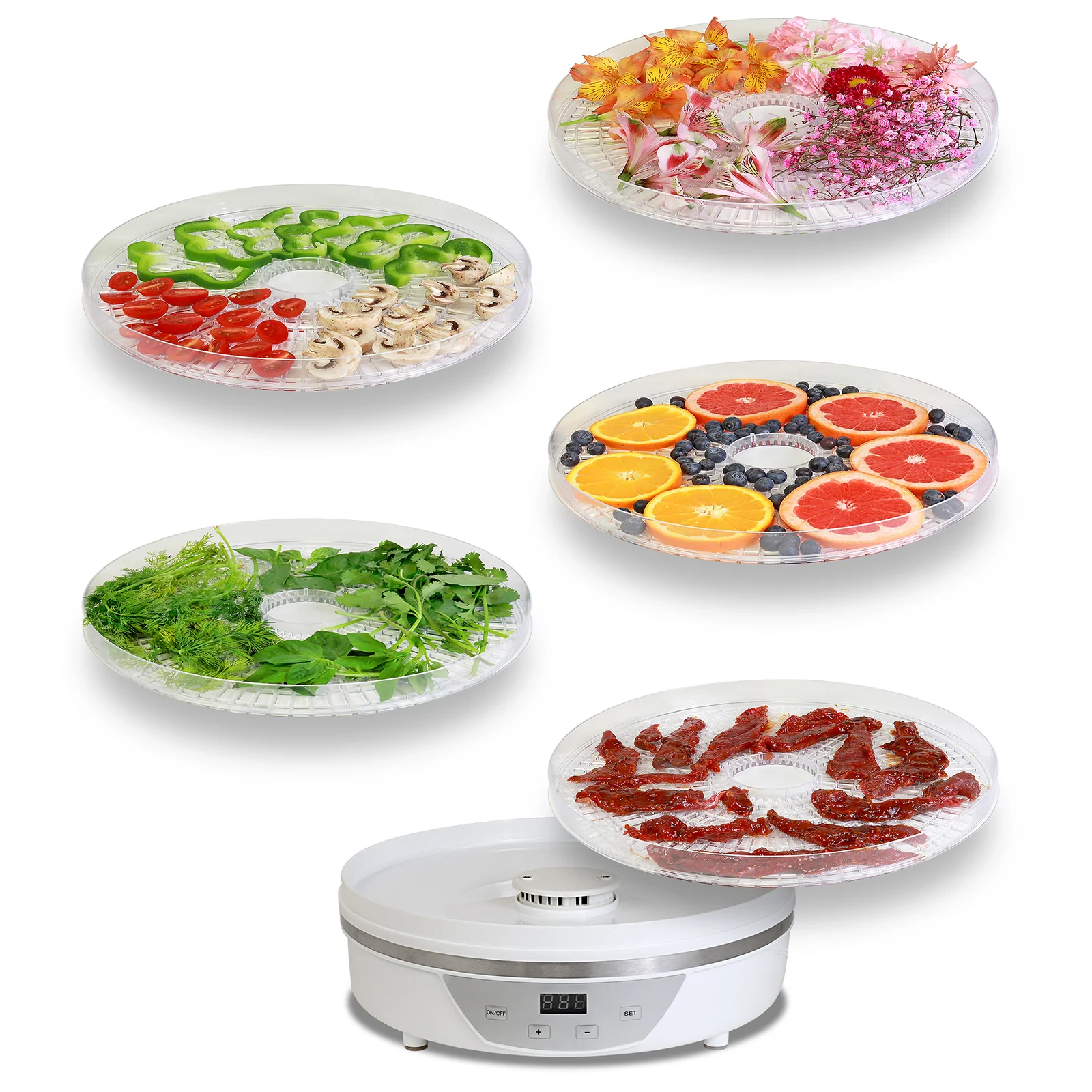 Total Chef TCFD-05 5 Tray Food Dehydrator