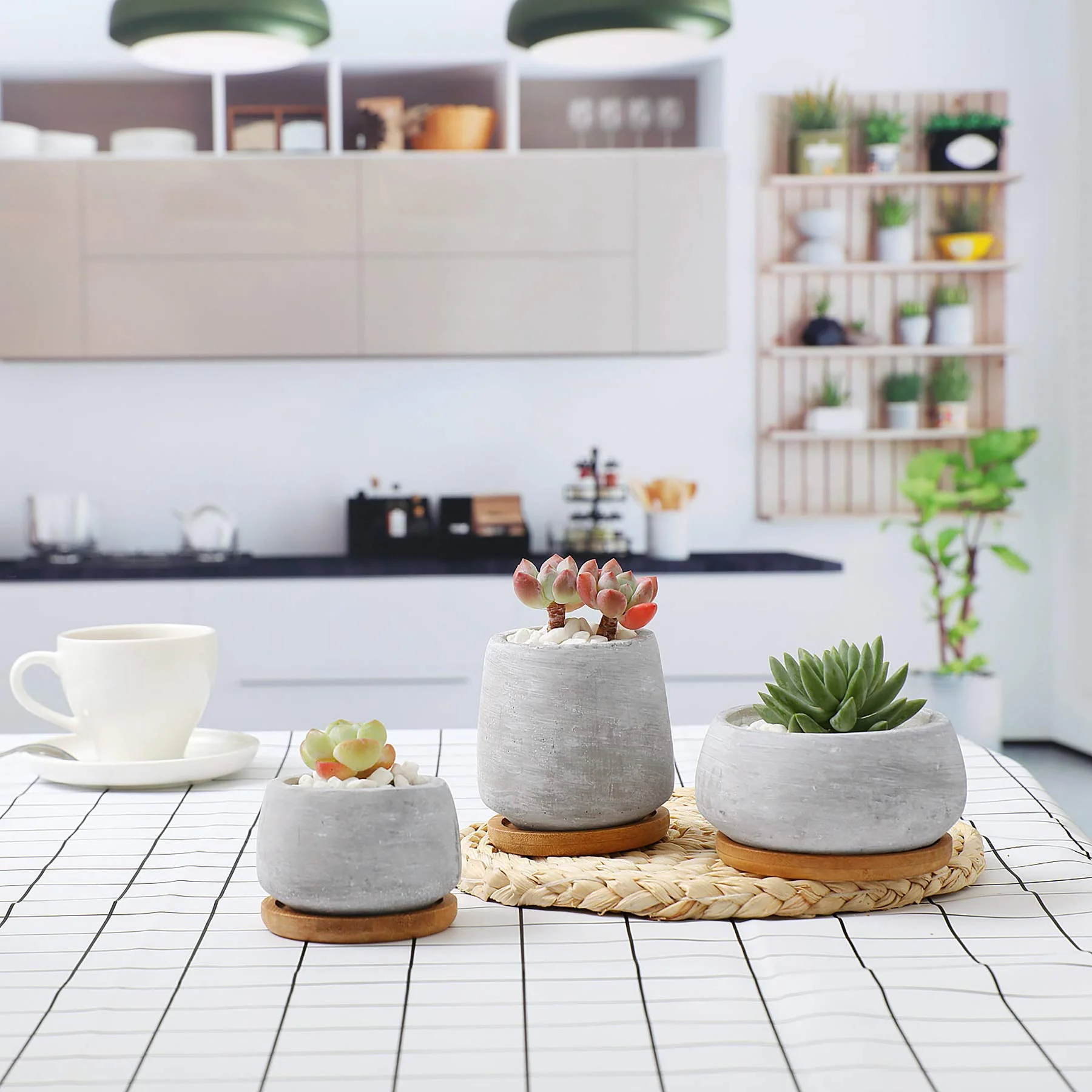T4U 3 Inch - 4.25 Inch Cement Succulent Cactus Pot, Concrete Planter Pot Container Window Box, Small Clay Pot for Plants Flowers