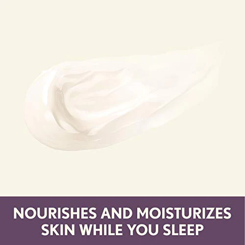 Aveeno Absolutely Ageless Restorative Night Cream Face &a; Neck Moisturizer with Antioxidant-Rich Blackberry Complex, Vitamin C &a;