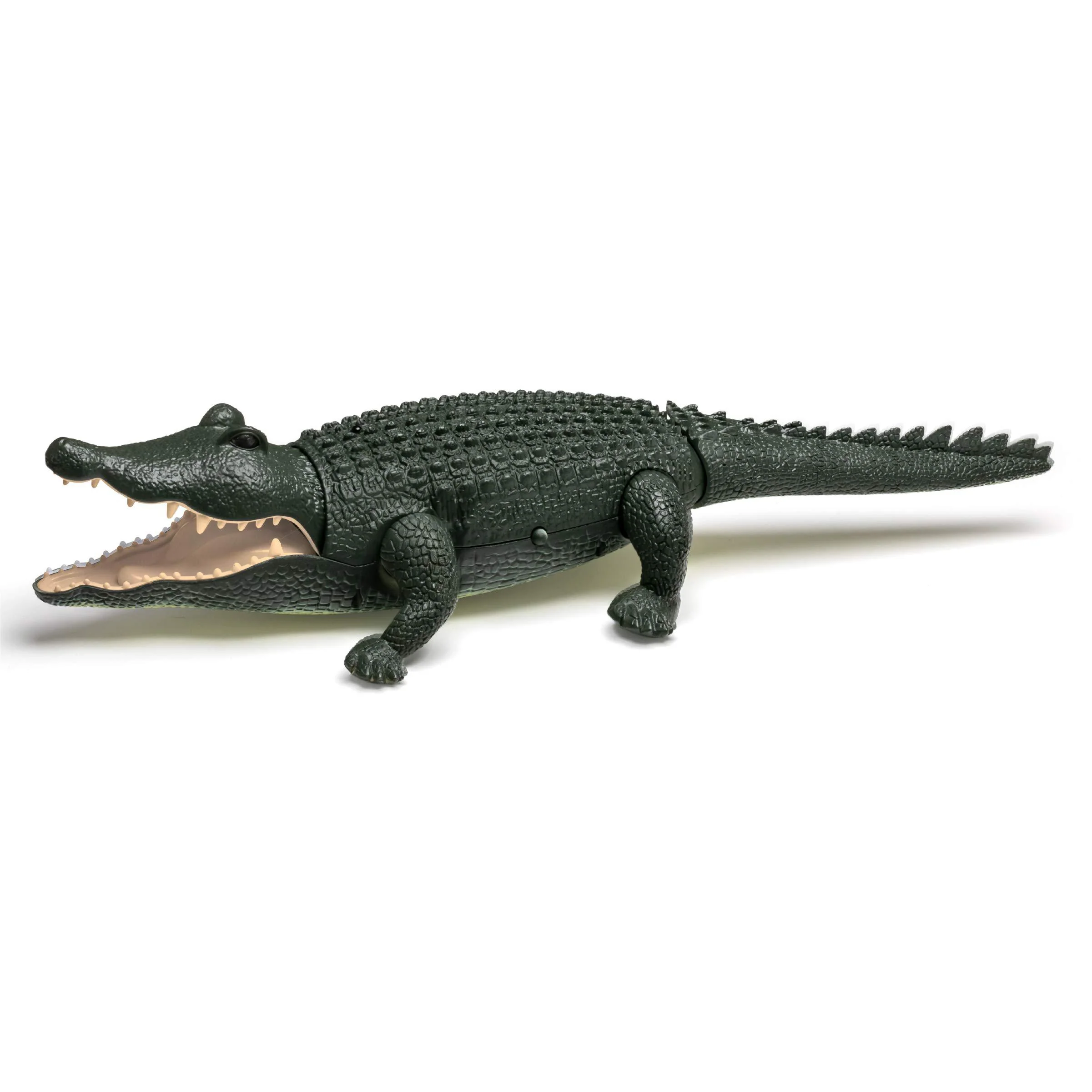 Discovery by Explore Scientific discovery kids rc crocodile remote control pet, creature moves like a real gator, light-up simulation toy, fun for kids ages