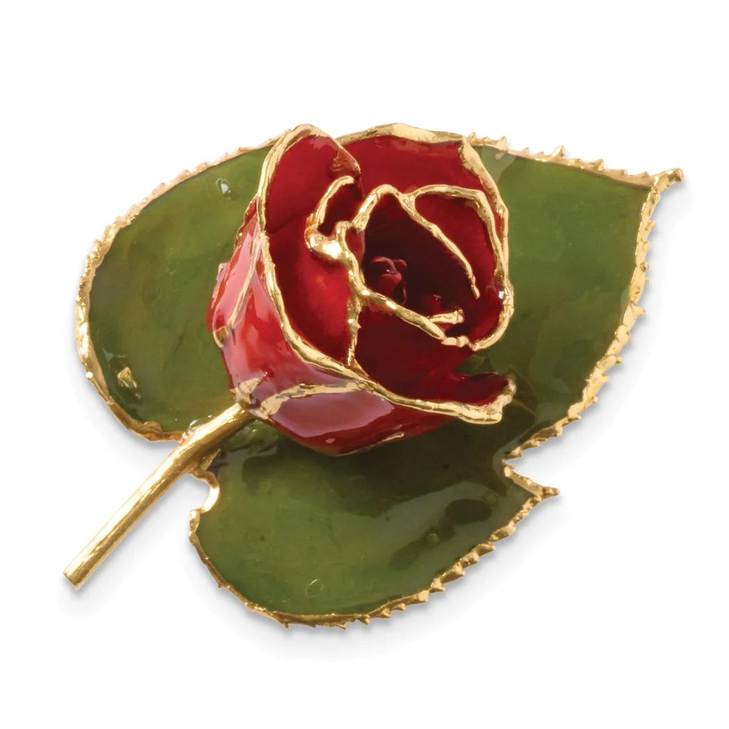 Jewelryweb 24k Gold Trim Red Rose Brooch Pin - Measures 76x58mm Wide