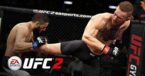 Electronic Arts EA SPORTS UFC 2 (PS4)