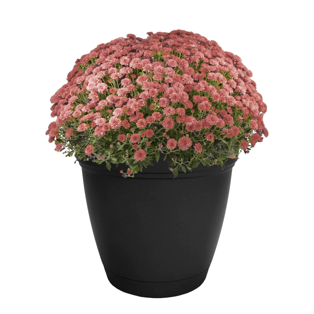 The HC Companies 12 Inch Eclipse Round Planter with Saucer - Indoor Outdoor Plant Pot for Flowers, Vegetables, and Herbs, Slate