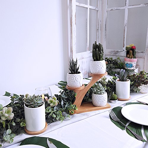 besttoyhome 3pcs Owl Succulent Pots with 3 Tier Bamboo Saucers Stand Holder - White Modern Decorative Ceramic Flower Planter Plant Pot with