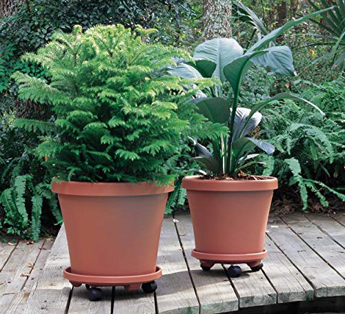 Bloem Round Plant Stand Caddy w/Wheels Saucer Tray (CAD1600), Black, 16