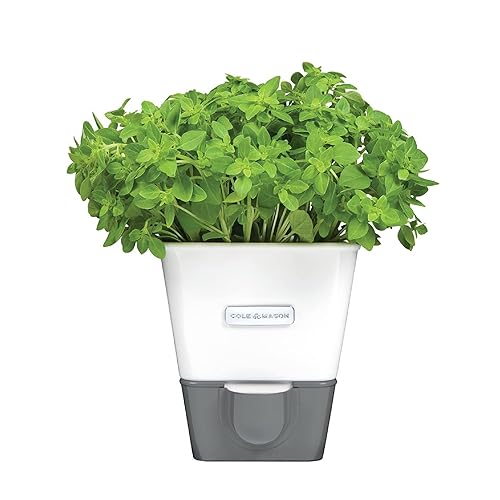 Cole &a; Mason Self-Watering Potted Herb Keeper