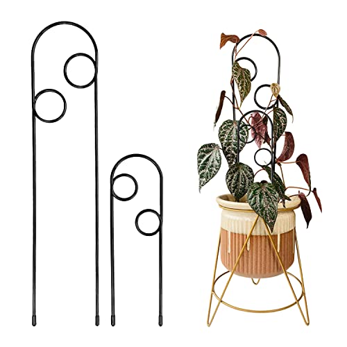 PlantPin Metal Plant Support Stake for Indoor climbing Plants, Pothos, Monstera, Philodendron and Vines, Plant Decor Accessories - Size: