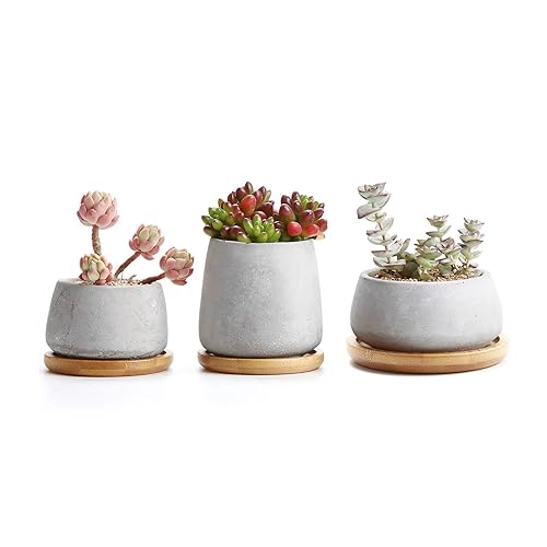 T4U 3 Inch - 4.25 Inch Cement Succulent Cactus Pot, Concrete Planter Pot Container Window Box, Small Clay Pot for Plants Flowers