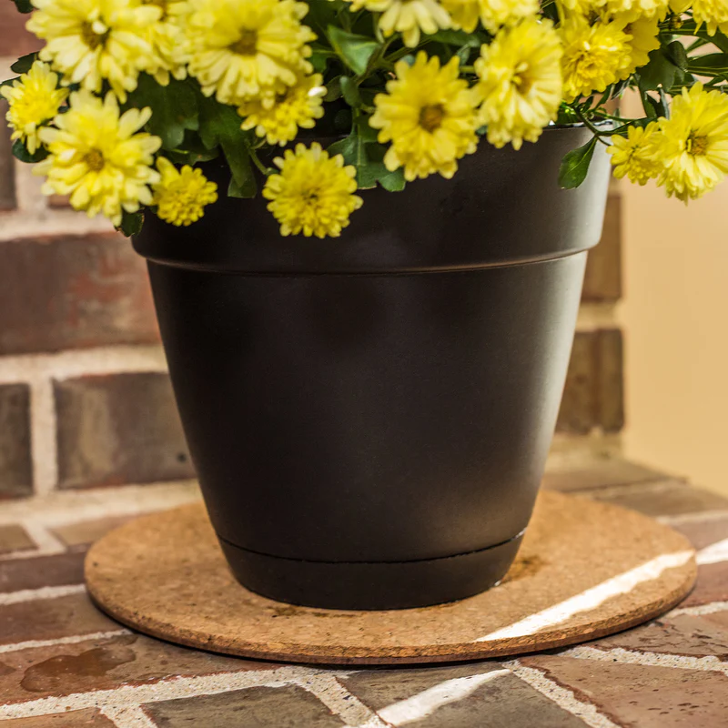 Gardener&s;s Blue Ribbon 0.3 in. H X 12 in. W Cork Planter Mat Brown