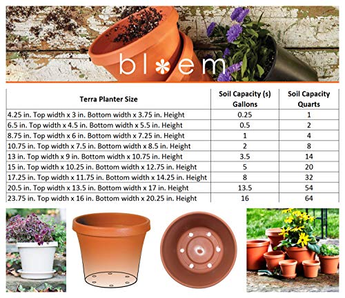 Bloem Terra Pot Planter - 4