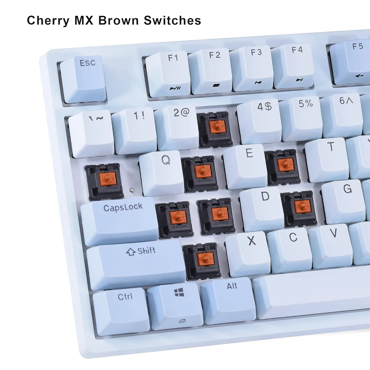 Zell Electronics Zell Taurus K320 Tkl Mechanical Keyboard | 87 Keys Tenkeyless | Usb C Wired | Doubleshot Pbt Keycaps | Programmable Keys | Nk…