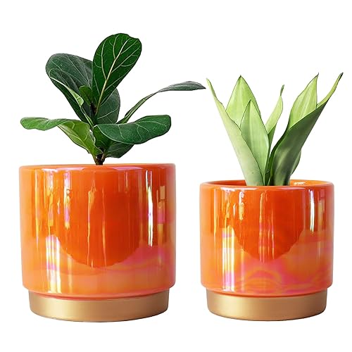 YFFSRJDJ Ceramic Flower Plants Pots Planter with Drainage Hole, 6.0 inch+5.0 Inch. Indoor-Outdoor Large Round Succulent Orchid P
