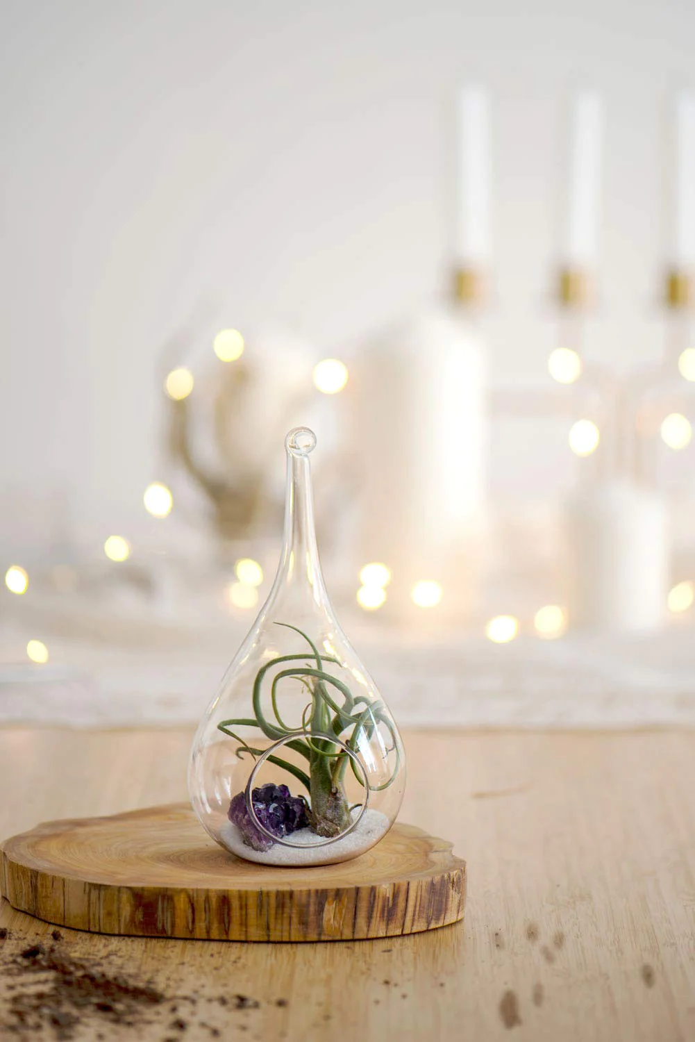 Mkono 2 Pack Glass Hanging Planter Air Fern Holder Terrarium Plants Hanger Vase Home Christmas Decoration Gift Idea for Succulen