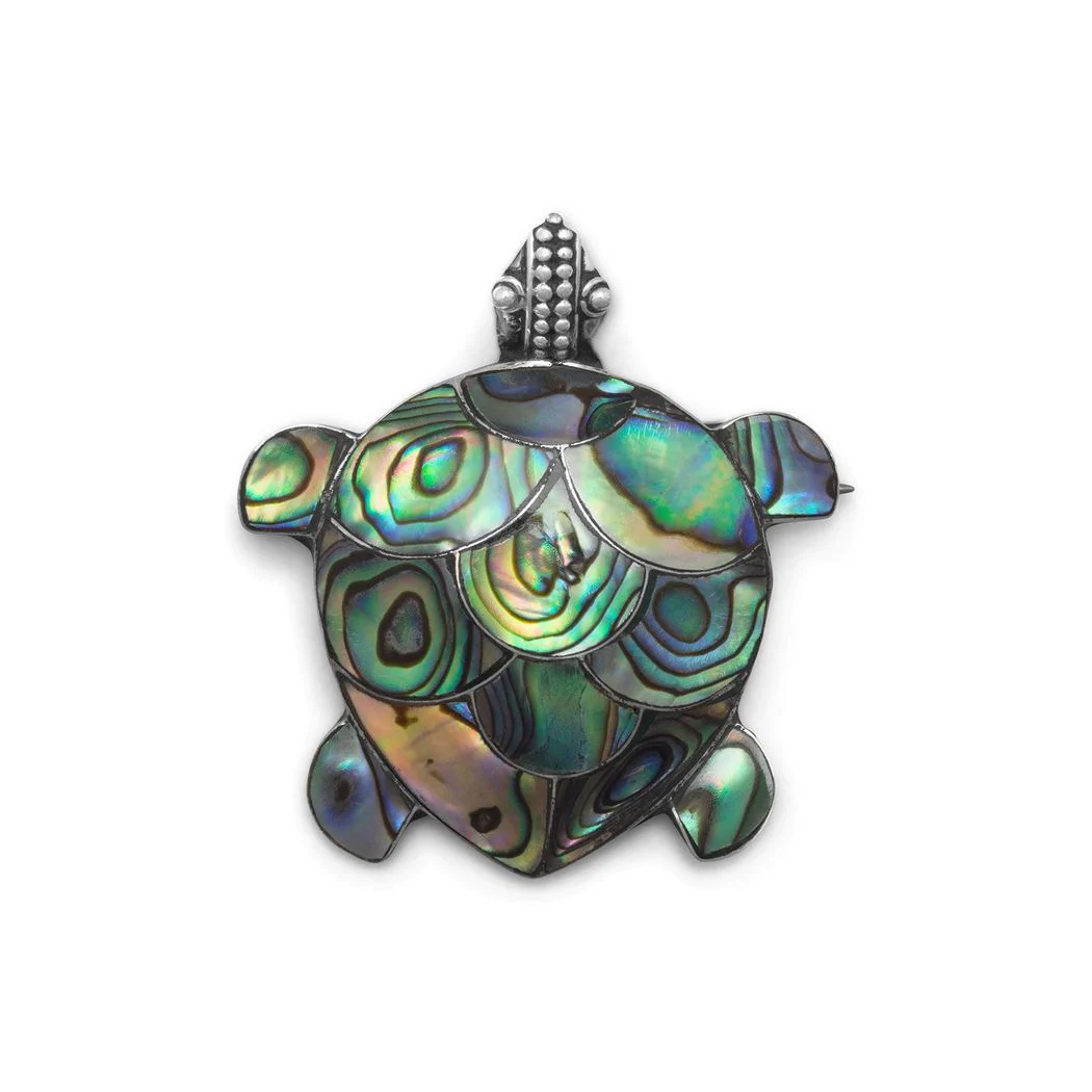 Jewelryweb Paua Shell Turtle Pin Pendant Sterling Silver Paua Shell Turtle Can Be Worn As a Pin Or A Pendant