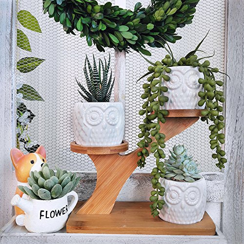 besttoyhome 3pcs Owl Succulent Pots with 3 Tier Bamboo Saucers Stand Holder - White Modern Decorative Ceramic Flower Planter Plant Pot with