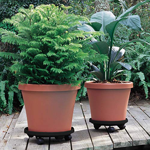 Bloem Round Plant Stand Caddy w/Wheels Saucer Tray (CAD1600), Black, 16