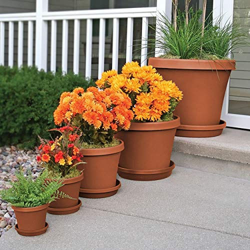 Bloem Terra Pot Planter - 4